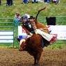 FARMER'S DAY / RODEO GOES ON