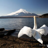 山中湖 平野湖岸にて