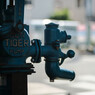 I am  the Tiger：50ｍｍ