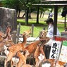そうだ奈良へ行こう～⑤