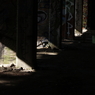 light tempo 