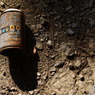 rust scean