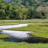 尾瀬を歩く（５）