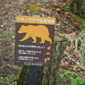 P6170003