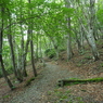 P6170004