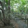 P6170008