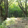 P6170013
