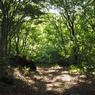 P6170015