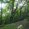 P6170016