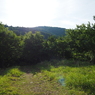 P6170025