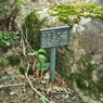P6170028