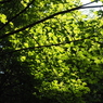 P6170039