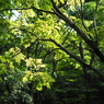P6170041