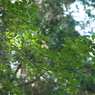 P6170046