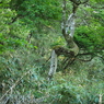 P6170049