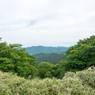 P6170084