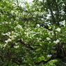 P6170090