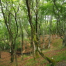 P6170093
