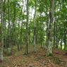 P6170094