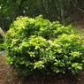 P6170095