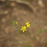 P6170100