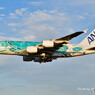 ANA フライングホヌ カイ