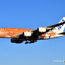 ANA フライングホヌ ラー