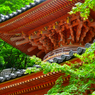 6月の頃。