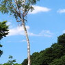 青空の下