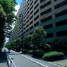 写真エッセイ：緑の中のおーきなマンション