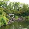 写真エッセイ：公園３：池のほとりで