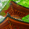 淦に新緑。