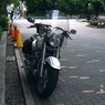 写真句；ハーレー＃２