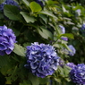 DSC05174