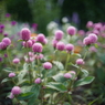 DSC05190