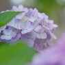 花歩記