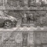 散歩道で
