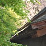 龍安寺-9