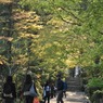 龍安寺-12