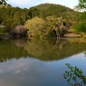 龍安寺-14