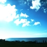 vivid blue
