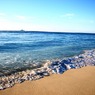 on the shore