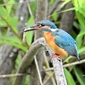 得意顔のカワちゃん！