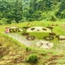里山の風景 ～田んぼアート～