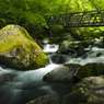滝へ続く橋