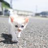 よいしょ