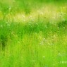 寄り道-公園-1