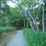 P7080003