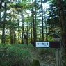 P7080011