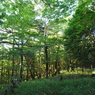 P7080012